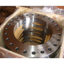 Ring Forged Big Size Flanges